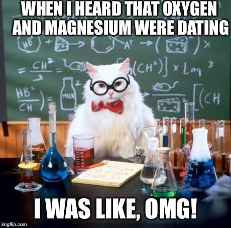 Chemistry Cat | WHEN I HEARD THAT OXYGEN AND MAGNESIUM WERE DATING I WAS LIKE, OMG! | image tagged in memes,chemistry cat | made w/ Imgflip meme maker