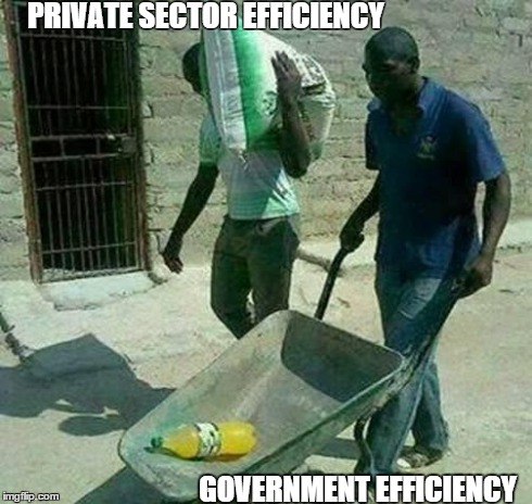 PRIVATE SECTOR EFFICIENCY GOVERNMENT EFFICIENCY | image tagged in capital efficiency,libertarianmeme | made w/ Imgflip meme maker