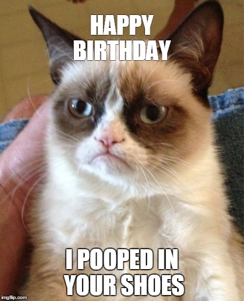 Grumpy Cat | HAPPY BIRTHDAY I POOPED IN YOUR SHOES | image tagged in memes,grumpy cat | made w/ Imgflip meme maker