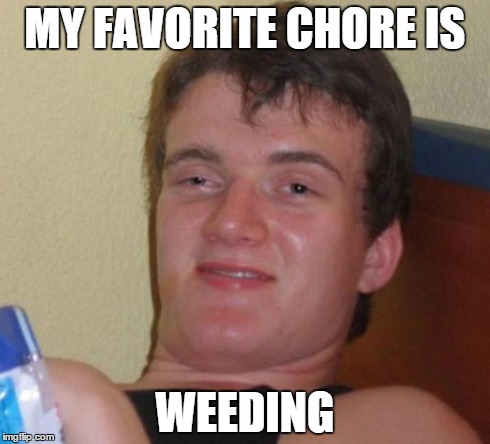 10 Guy | MY FAVORITE CHORE IS WEEDING | image tagged in memes,10 guy | made w/ Imgflip meme maker