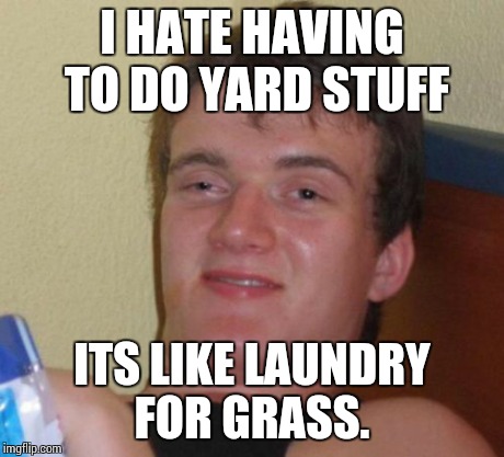 10 Guy Meme | I HATE HAVING TO DO YARD STUFF ITS LIKE LAUNDRY FOR GRASS. | image tagged in memes,10 guy | made w/ Imgflip meme maker