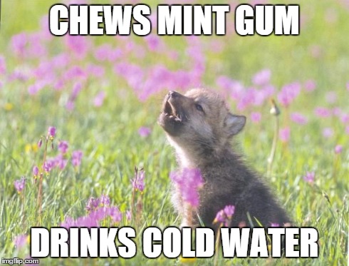 Baby Insanity Wolf Meme | CHEWS MINT GUM DRINKS COLD WATER | image tagged in memes,baby insanity wolf,AdviceAnimals | made w/ Imgflip meme maker