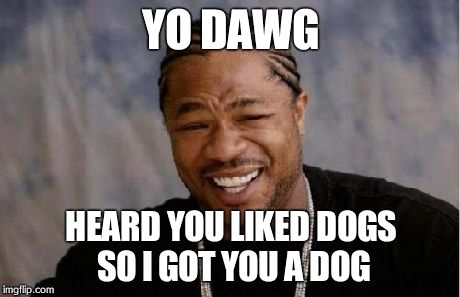 Unless you're a cat person. | YO DAWG HEARD YOU LIKED DOGS SO I GOT YOU A DOG | image tagged in memes,yo dawg heard you | made w/ Imgflip meme maker