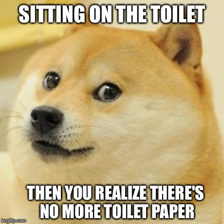 Doge Meme | SITTING ON THE TOILET THEN YOU REALIZE THERE'S NO MORE TOILET PAPER | image tagged in memes,doge | made w/ Imgflip meme maker