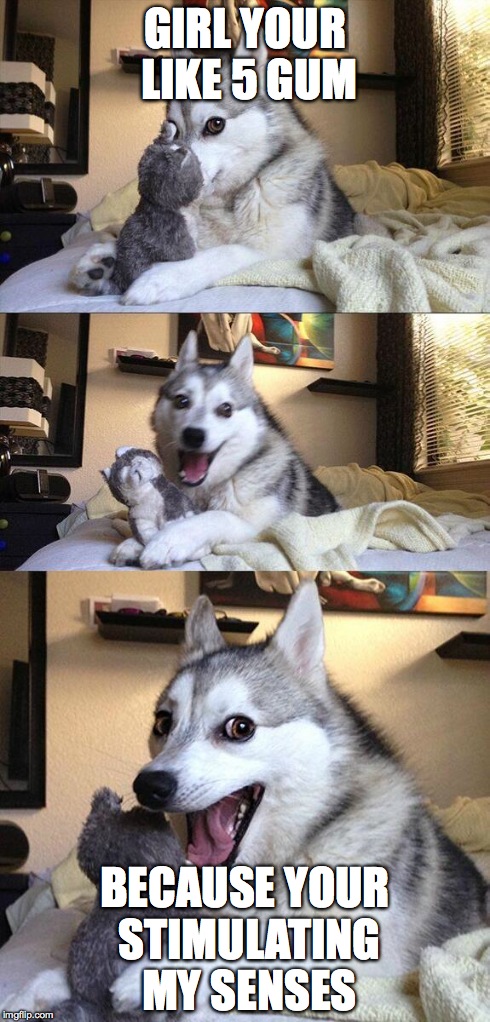 Bad Pun Dog | GIRL YOUR LIKE 5 GUM BECAUSE YOUR STIMULATING MY SENSES | image tagged in memes,bad pun dog | made w/ Imgflip meme maker