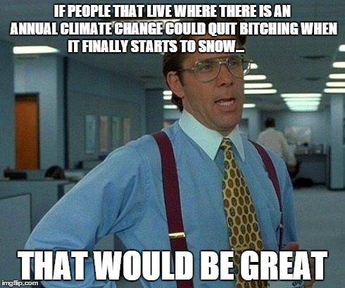 That Would Be Great Meme | IF PEOPLE THAT LIVE WHERE THERE IS AN ANNUAL CLIMATE CHANGE COULD QUIT B**CHING WHEN IT FINALLY STARTS TO SNOW... THAT WOULD BE GREAT | image tagged in memes,that would be great | made w/ Imgflip meme maker