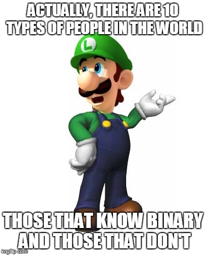 Logic Luigi | ACTUALLY, THERE ARE 10 TYPES OF PEOPLE IN THE WORLD THOSE THAT KNOW BINARY AND THOSE THAT DON'T | image tagged in logic luigi | made w/ Imgflip meme maker