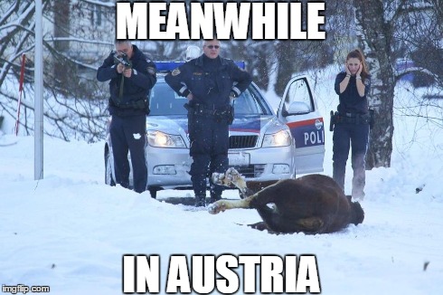 MEANWHILE IN AUSTRIA | made w/ Imgflip meme maker