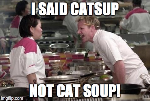 Angry Chef Gordon Ramsay | I SAID CATSUP NOT CAT SOUP! | image tagged in memes,angry chef gordon ramsay | made w/ Imgflip meme maker