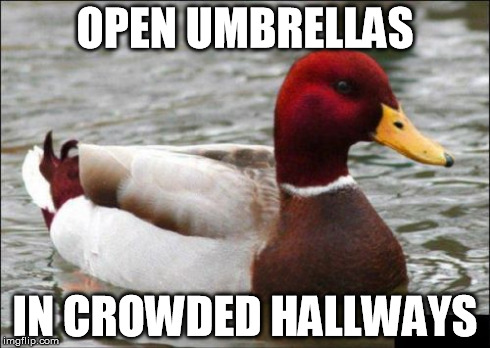 Malicious Advice Mallard Meme | OPEN UMBRELLAS IN CROWDED HALLWAYS | image tagged in memes,malicious advice mallard | made w/ Imgflip meme maker