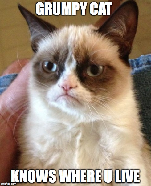 Grumpy Cat | GRUMPY CAT KNOWS WHERE U LIVE | image tagged in memes,grumpy cat | made w/ Imgflip meme maker