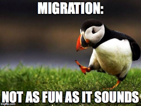 Unpopular Opinion Puffin | MIGRATION: NOT AS FUN AS IT SOUNDS | image tagged in memes,unpopular opinion puffin | made w/ Imgflip meme maker