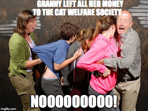 Granny left all her money to the cat welfare society | GRANNY LEFT ALL HER MONEY TO THE CAT WELFARE SOCIETY ... NOOOOOOOOO! | image tagged in granny,family,dead granny | made w/ Imgflip meme maker