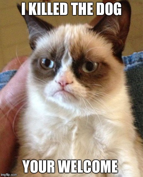 Grumpy Cat | I KILLED THE DOG YOUR WELCOME | image tagged in memes,grumpy cat | made w/ Imgflip meme maker