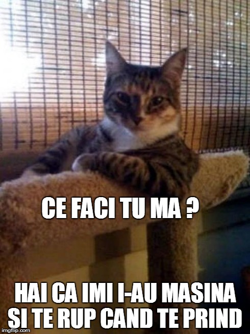 The Most Interesting Cat In The World Meme | CE FACI TU MA ? HAI CA IMI I-AU MASINA SI TE RUP CAND TE PRIND | image tagged in memes,the most interesting cat in the world | made w/ Imgflip meme maker