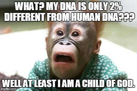 WHAT? MY DNA IS ONLY 2% DIFFERENT FROM HUMAN DNA??? WELL AT LEAST I AM A CHILD OF GOD. | made w/ Imgflip meme maker