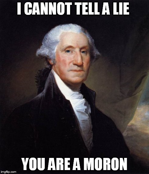 George Washington | I CANNOT TELL A LIE YOU ARE A MORON | image tagged in memes,george washington | made w/ Imgflip meme maker