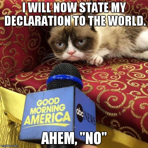 grumpy cat news | I WILL NOW STATE MY DECLARATION TO THE WORLD. AHEM, "NO" | image tagged in grumpy cat news | made w/ Imgflip meme maker