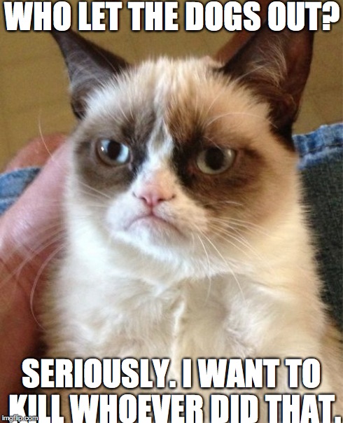 Grumpy Cat | WHO LET THE DOGS OUT? SERIOUSLY. I WANT TO KILL WHOEVER DID THAT. | image tagged in memes,grumpy cat | made w/ Imgflip meme maker