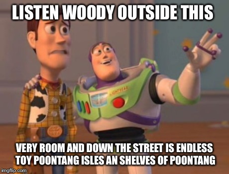 X, X Everywhere | LISTEN WOODY OUTSIDE THIS VERY ROOM AND DOWN THE STREET IS ENDLESS TOY POONTANG ISLES AN SHELVES OF POONTANG | image tagged in memes,x x everywhere | made w/ Imgflip meme maker