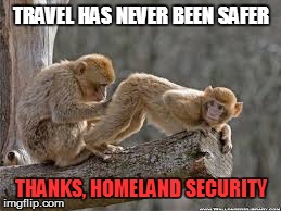 TRAVEL HAS NEVER BEEN SAFER THANKS, HOMELAND SECURITY | image tagged in travel | made w/ Imgflip meme maker