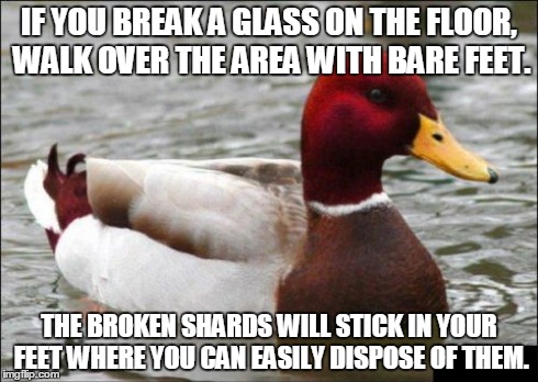 Malicious Advice Mallard | IF YOU BREAK A GLASS ON THE FLOOR, WALK OVER THE AREA WITH BARE FEET. THE BROKEN SHARDS WILL STICK IN YOUR FEET WHERE YOU CAN EASILY DISPOSE | image tagged in memes,malicious advice mallard | made w/ Imgflip meme maker