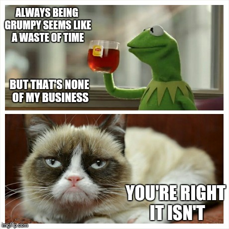 Kermit vs. Grumpy Cat | ALWAYS BEING GRUMPY SEEMS LIKE A WASTE OF TIME YOU'RE RIGHT IT ISN'T BUT THAT'S NONE OF MY BUSINESS | image tagged in kermit the frog,grumpy cat | made w/ Imgflip meme maker