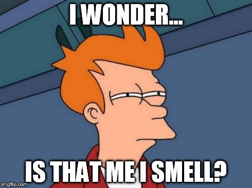 Futurama Fry | I WONDER... IS THAT ME I SMELL? | image tagged in memes,futurama fry | made w/ Imgflip meme maker