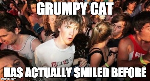 Sudden Clarity Clarence Meme | GRUMPY CAT HAS ACTUALLY SMILED BEFORE | image tagged in memes,sudden clarity clarence | made w/ Imgflip meme maker