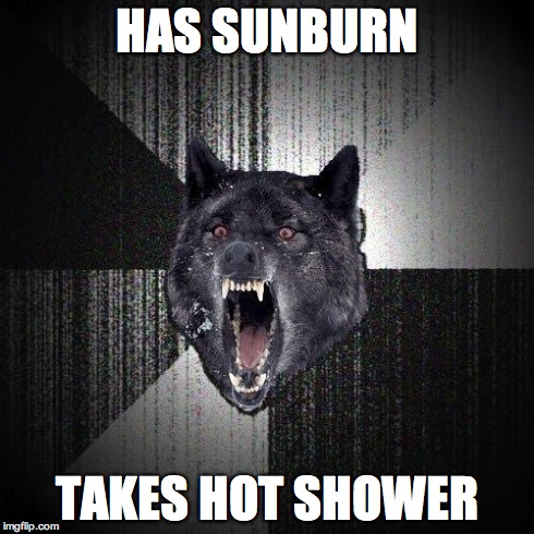 Insanity Wolf | HAS SUNBURN TAKES HOT SHOWER | image tagged in memes,insanity wolf | made w/ Imgflip meme maker