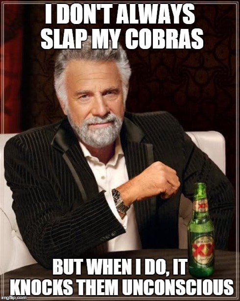 The Most Interesting Man In The World Meme | I DON'T ALWAYS SLAP MY COBRAS BUT WHEN I DO, IT KNOCKS THEM UNCONSCIOUS | image tagged in memes,the most interesting man in the world | made w/ Imgflip meme maker
