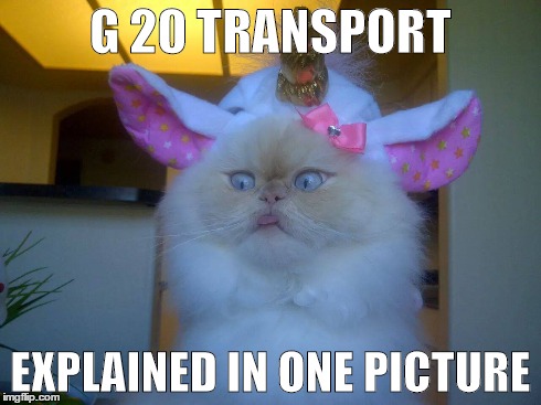 Brisbane G20 transport tarded | G 20 TRANSPORT EXPLAINED IN ONE PICTURE | image tagged in brisbane transport,cat meme,g20,g20 world summit,huuuuuuuuuuuuuuuuurrrrrrrr,stupid government | made w/ Imgflip meme maker