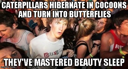 Sudden Clarity Clarence Meme | CATERPILLARS HIBERNATE IN COCOONS AND TURN INTO BUTTERFLIES THEY'VE MASTERED BEAUTY SLEEP | image tagged in memes,sudden clarity clarence | made w/ Imgflip meme maker