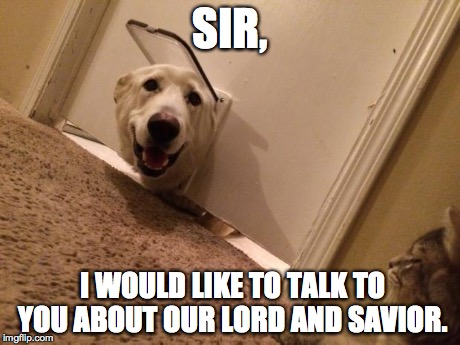 Dog mormon | SIR, I WOULD LIKE TO TALK TO YOU ABOUT OUR LORD AND SAVIOR. | image tagged in dog mormon | made w/ Imgflip meme maker
