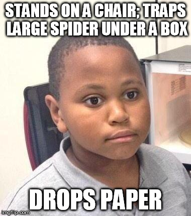 Minor Mistake Marvin Meme | STANDS ON A CHAIR; TRAPS LARGE SPIDER UNDER A BOX DROPS PAPER | image tagged in minor mistake marvin | made w/ Imgflip meme maker