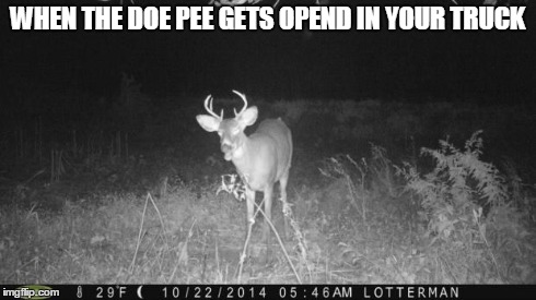 WHEN THE DOE PEE GETS OPEND IN YOUR TRUCK | image tagged in deer | made w/ Imgflip meme maker