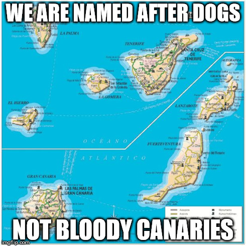 WE ARE NAMED AFTER DOGS NOT BLOODY CANARIES | image tagged in canary islands | made w/ Imgflip meme maker