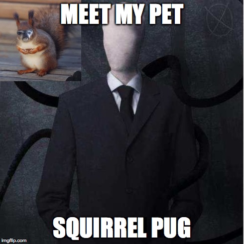 Slenderman Meme | MEET MY PET SQUIRREL PUG | image tagged in memes,slenderman | made w/ Imgflip meme maker