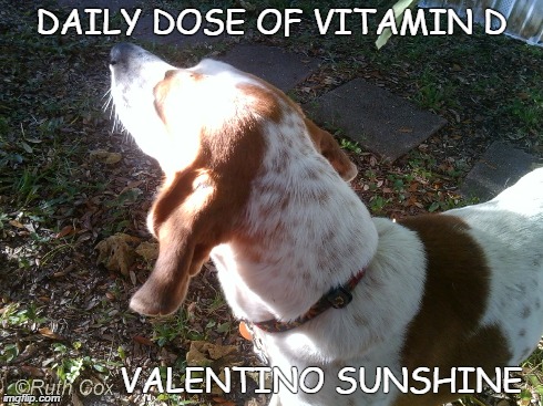 DAILY DOSE OF VITAMIN D VALENTINO SUNSHINE | made w/ Imgflip meme maker
