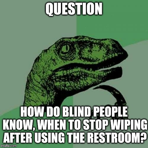 Philosoraptor Meme | QUESTION HOW DO BLIND PEOPLE KNOW, WHEN TO STOP WIPING AFTER USING THE RESTROOM? | image tagged in memes,philosoraptor | made w/ Imgflip meme maker