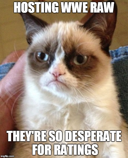 Grumpy Cat Meme | HOSTING WWE RAW THEY'RE SO DESPERATE FOR RATINGS | image tagged in memes,grumpy cat | made w/ Imgflip meme maker