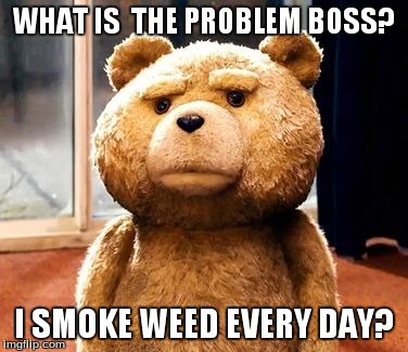 TED | WHAT IS  THE PROBLEM BOSS? I SMOKE WEED EVERY DAY? | image tagged in memes,ted | made w/ Imgflip meme maker