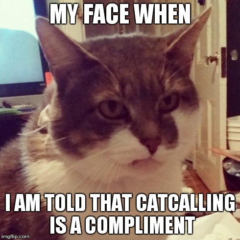 Annoyed Audie | MY FACE WHEN I AM TOLD THAT CATCALLING IS A COMPLIMENT | image tagged in annoyed audie,TrollXChromosomes | made w/ Imgflip meme maker