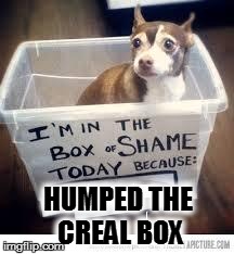 box of shame | HUMPED THE CREAL BOX | image tagged in box of shame | made w/ Imgflip meme maker