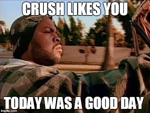 Today Was A Good Day | CRUSH LIKES YOU TODAY WAS A GOOD DAY | image tagged in memes,today was a good day | made w/ Imgflip meme maker