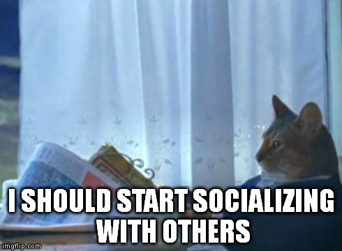 I Should Buy A Boat Cat Meme | I SHOULD START SOCIALIZING WITH OTHERS | image tagged in memes,i should buy a boat cat,AdviceAnimals | made w/ Imgflip meme maker