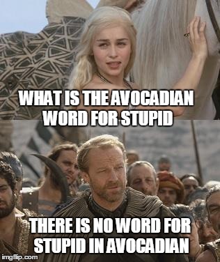 What is the avocadian word for stupid | WHAT IS THE AVOCADIAN WORD FOR STUPID THERE IS NO WORD FOR STUPID IN AVOCADIAN | image tagged in there is no word | made w/ Imgflip meme maker