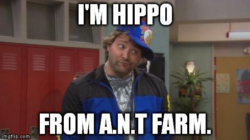 X is in, Y is for chumps | I'M HIPPO FROM A.N.T FARM. | image tagged in x is in y is for chumps | made w/ Imgflip meme maker