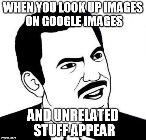 Seriously Face Meme | WHEN YOU LOOK UP IMAGES ON GOOGLE IMAGES AND UNRELATED STUFF APPEAR | image tagged in memes,seriously face | made w/ Imgflip meme maker