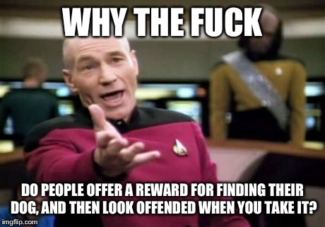 Come on, people!  | WHY THE F**K DO PEOPLE OFFER A REWARD FOR FINDING THEIR DOG, AND THEN LOOK OFFENDED WHEN YOU TAKE IT? | image tagged in memes,picard wtf,star trek,funny | made w/ Imgflip meme maker